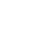 عميل 2